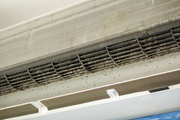 Reliable FL Airduct Cleaning Solutions